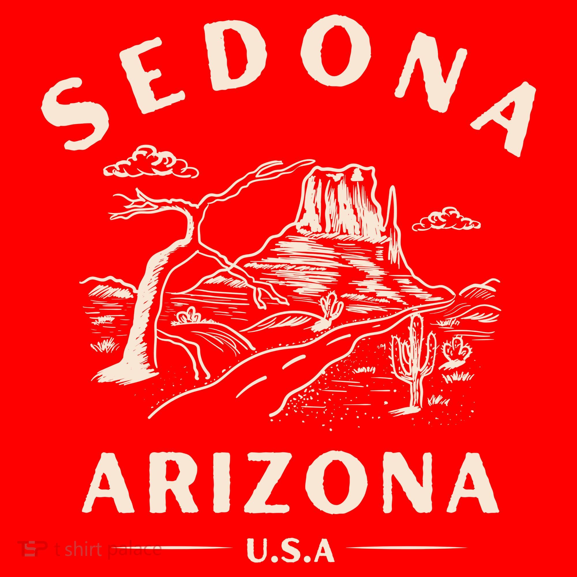 Sedona Arizona Cactus Sunset Desert Santa Hat