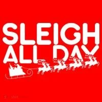 Sleigh All Day Toddler T-Shirt thumb 4