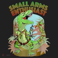 Small Arms Enthusiast Funny Trex Dinosaur Gun Women's Sweatshirt thumb 2