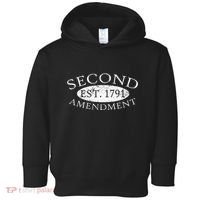 Second Amendment Est. 1791 Right To Bear Arms Toddler Hoodie thumb 0