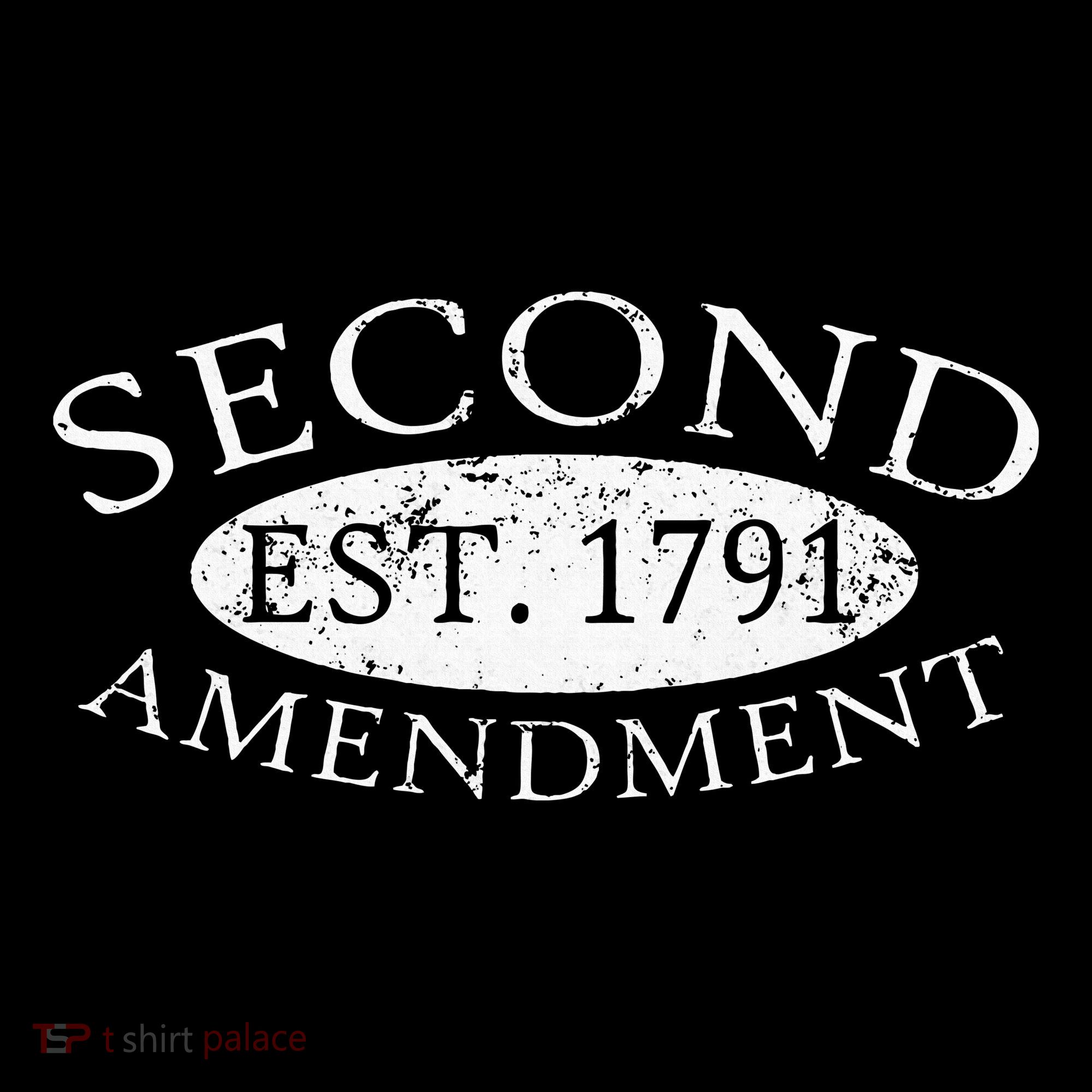Second Amendment Est. 1791 Right To Bear Arms Kids Hoodie
