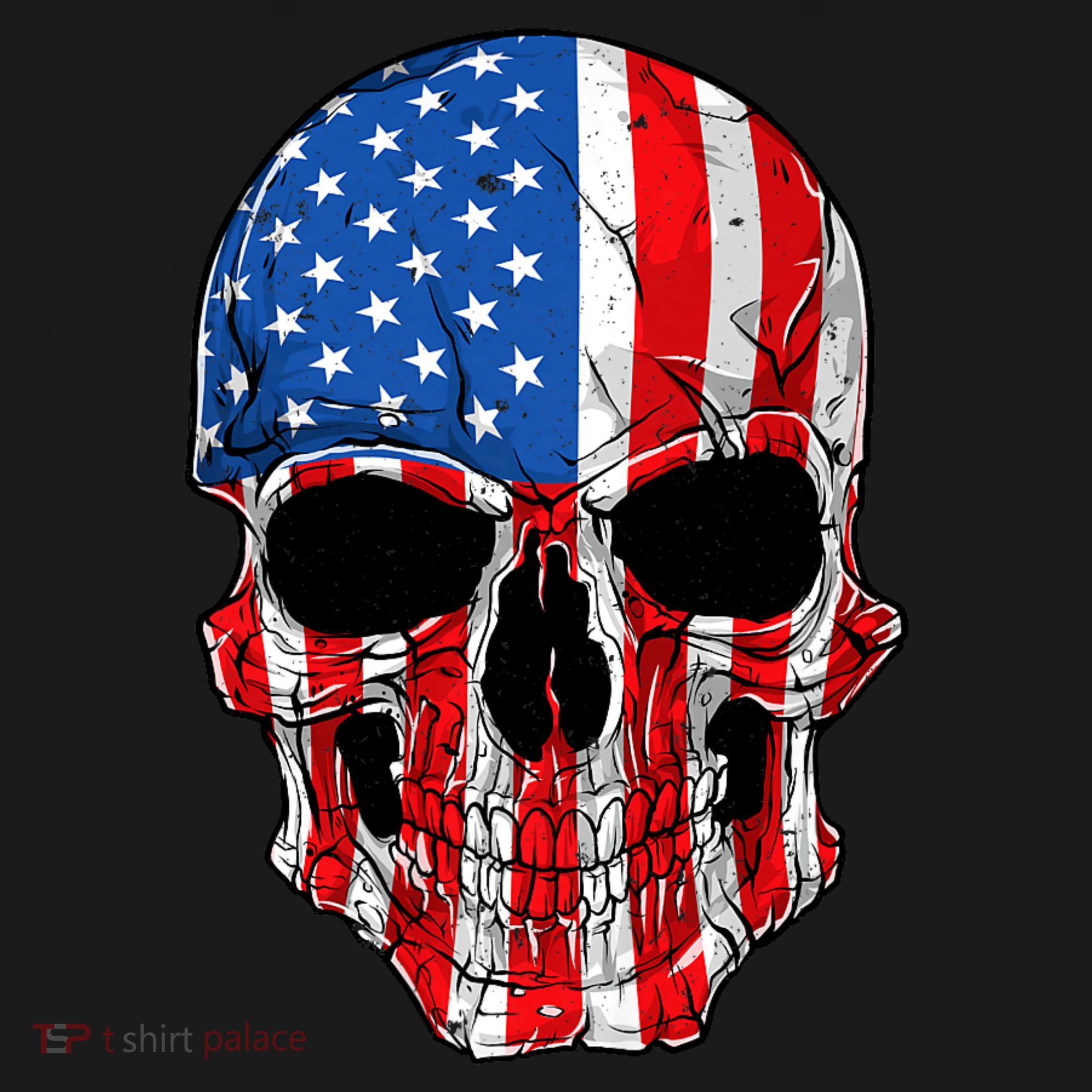 Skull American Flag 4th Of July Usa Gifts T-Shirt