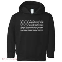 Second Amendment Flag Toddler Hoodie thumb 0