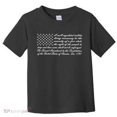 Second Amendment Flag Toddler T-Shirt
