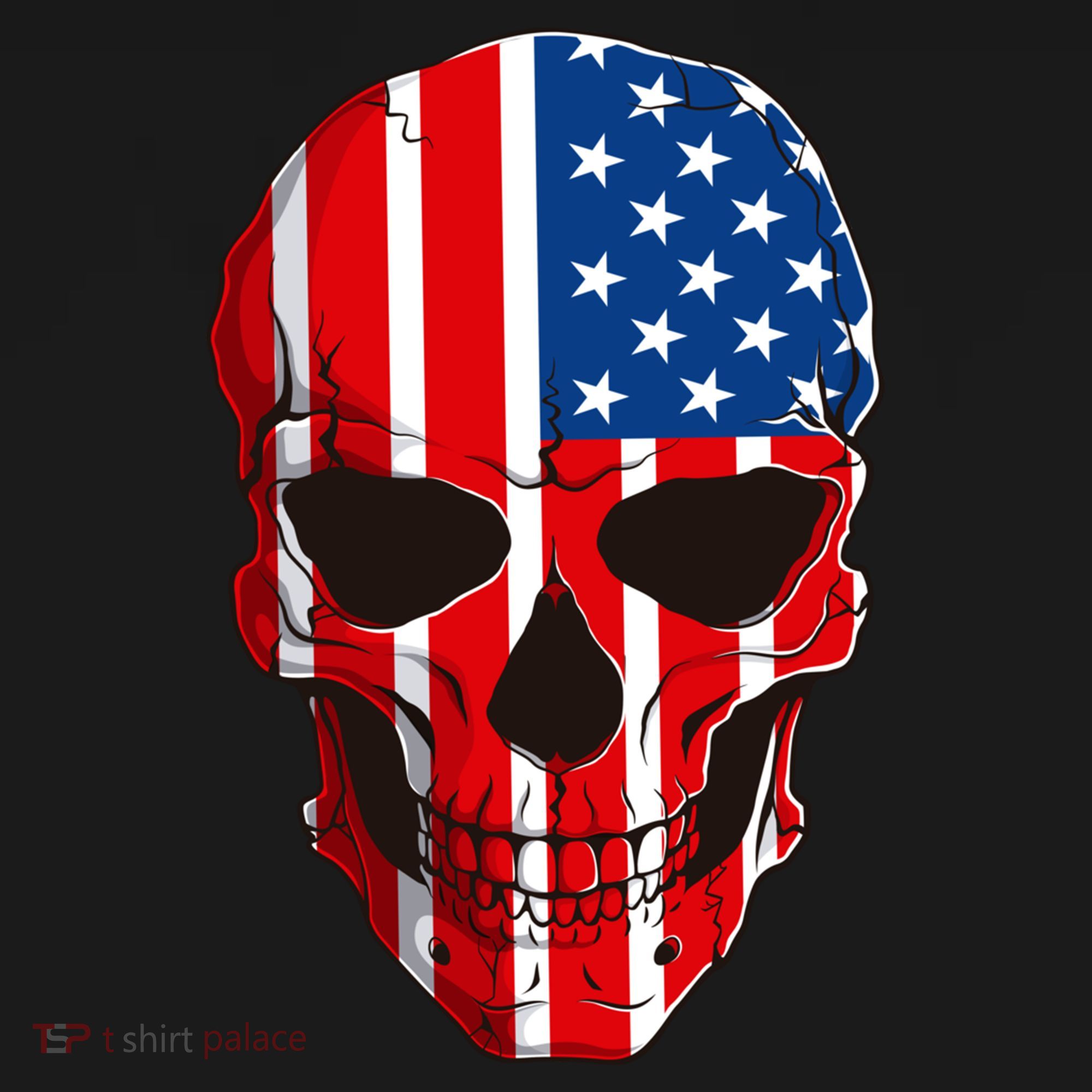 Skull American Flag 4th Of July Usa Patriotic Merica Skull Cool Gift Women's Hoodie