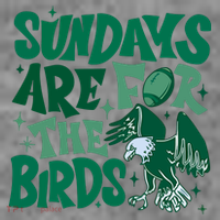 Sundays Are For The Birds Eagles Football Toddler Hoodie thumb 2