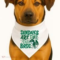 Sundays Are For The Birds Eagles Football USA-Made Doggie Bandana thumb 1
