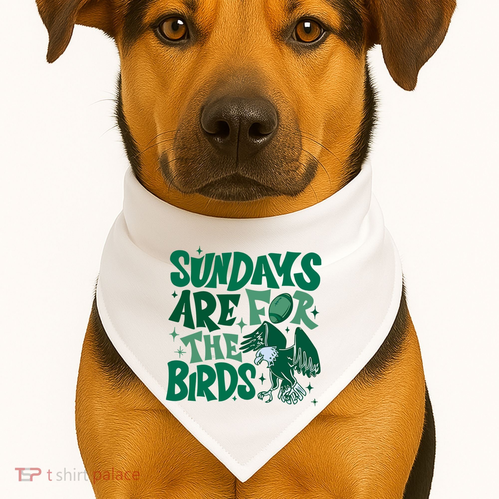 Sundays Are For The Birds Eagles Football USA-Made Doggie Bandana
