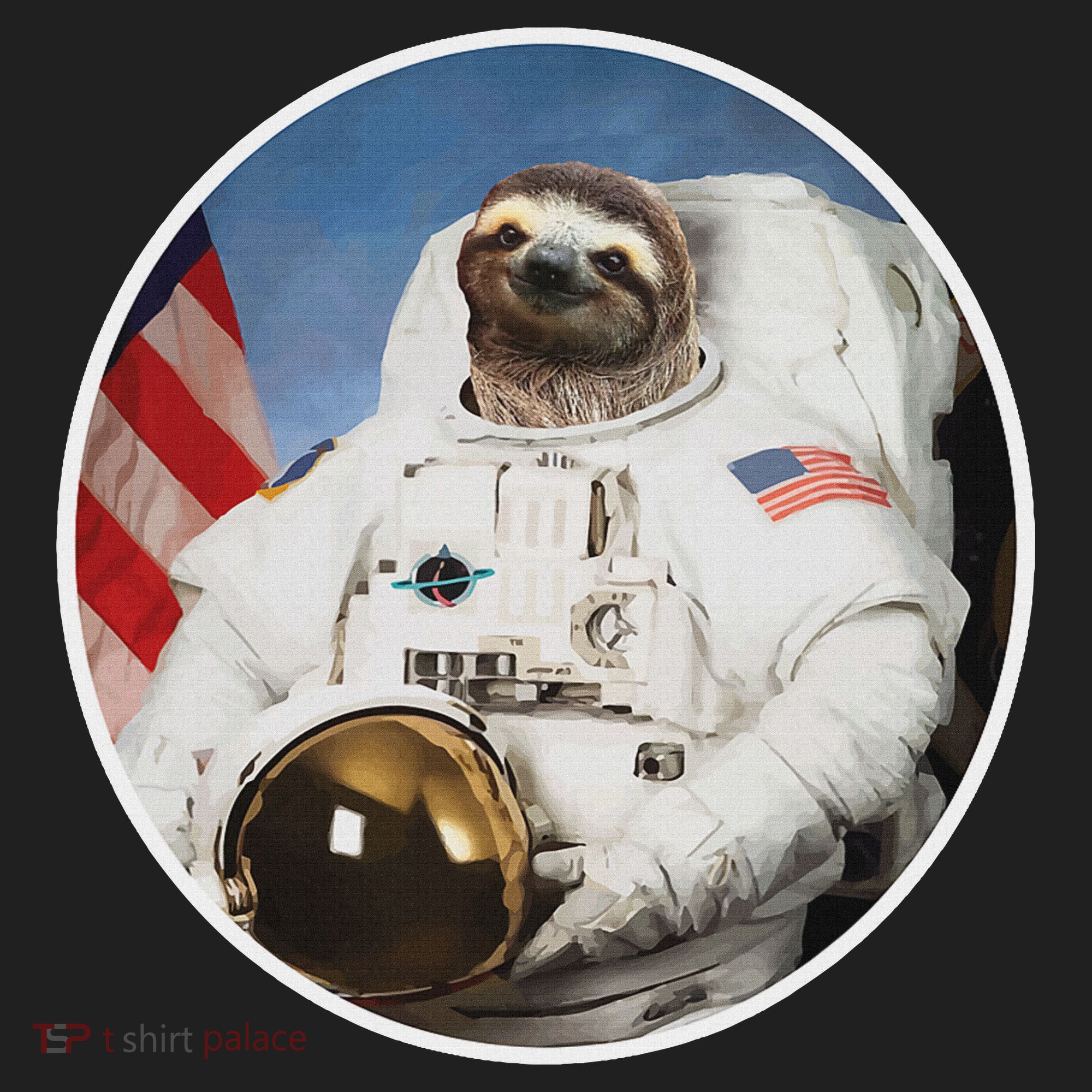 Sloth Astronau, Funny Sloth Gift Outer Space Women's Sweatshirt