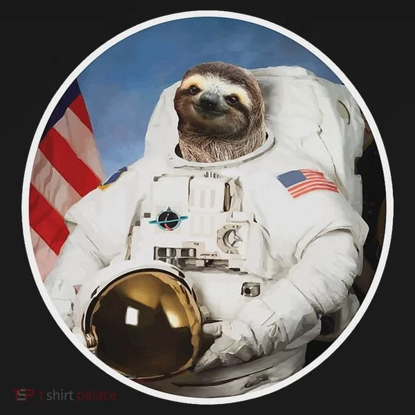 Sloth Astronau, Funny Sloth Gift Outer Space Bucket Hat