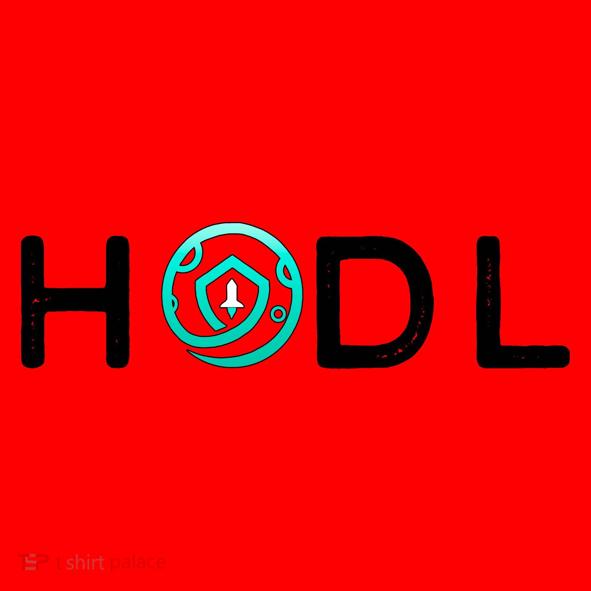 SafeMoon HODL Crypto Hold Currency Santa Hat