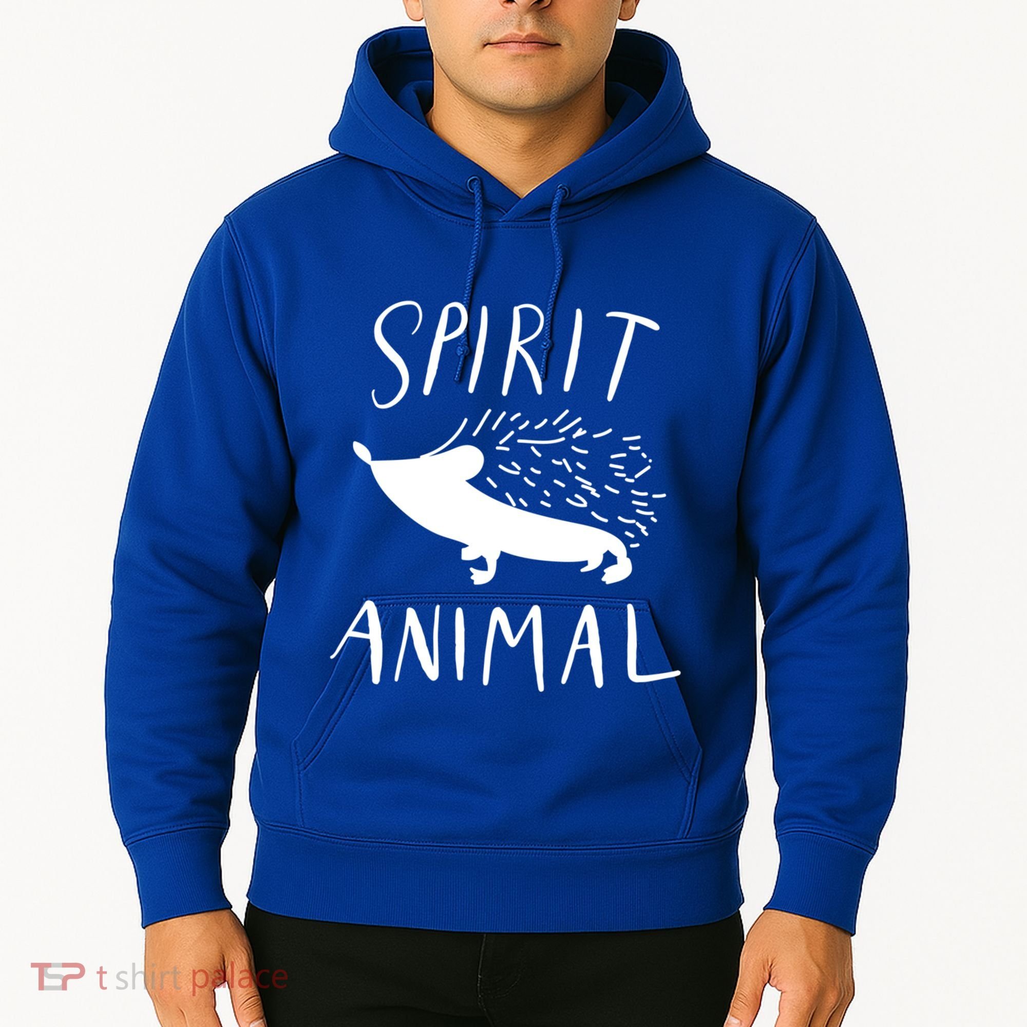 Spirit Animal Hedgehog Gift Funny Gift Hoodie