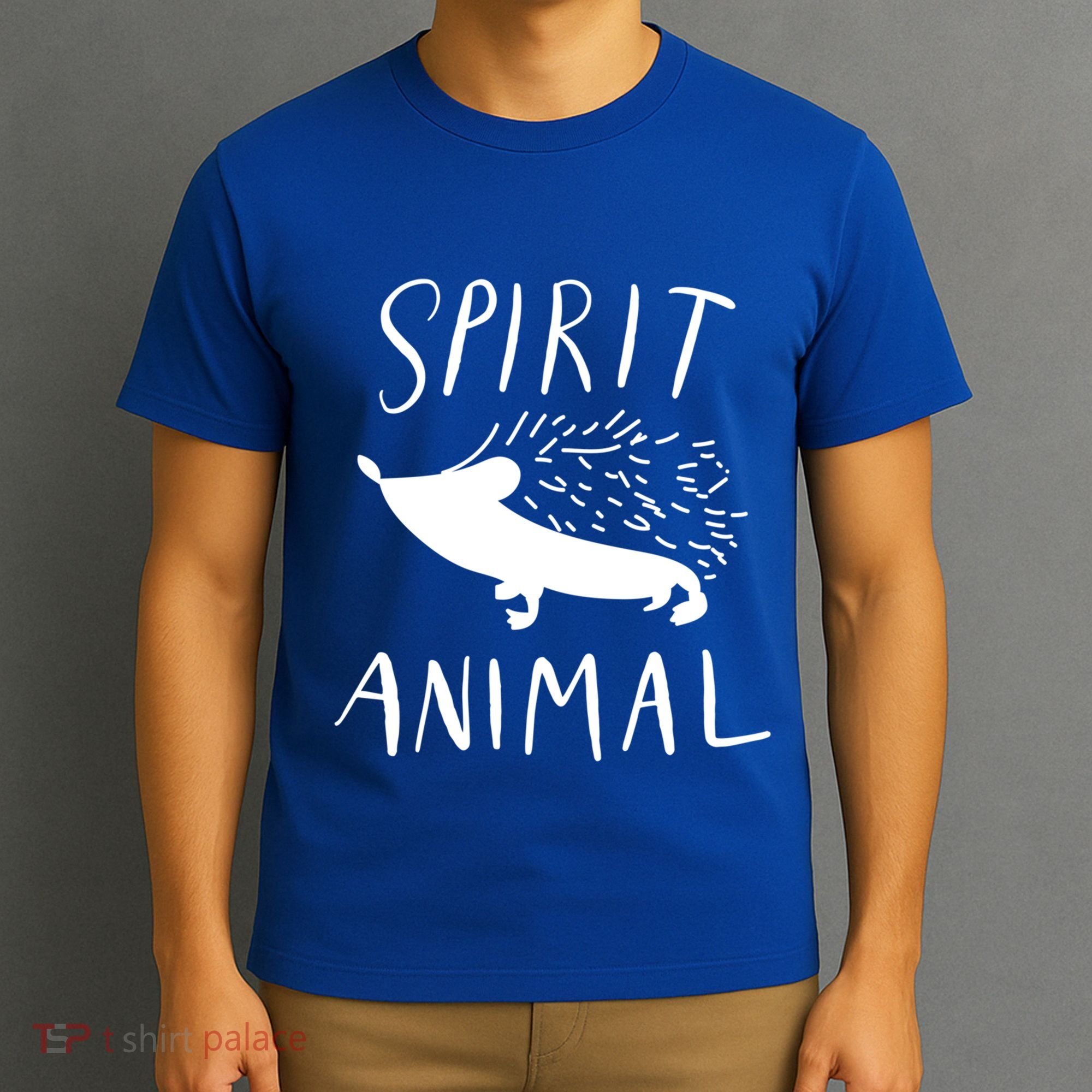 Spirit Animal Hedgehog Gift Funny Gift T-Shirt