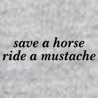 Save A Horse Ride A Mustache The Baniff Cuffed Pom Beanie thumb 2
