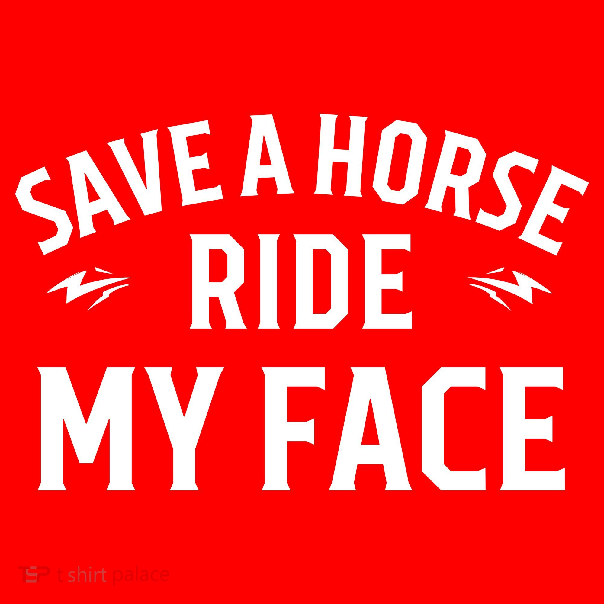 Save A Horse Ride My Face Santa Hat
