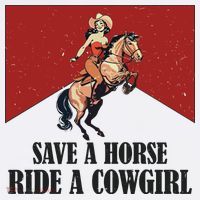 Save A Horse Ride A Cowgirl Ornament thumb 1