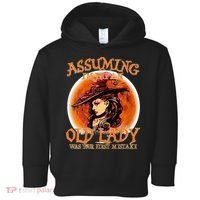 S Assuming IM Just An Old Lady Was Your First Mistake V Neck Toddler Hoodie thumb 0