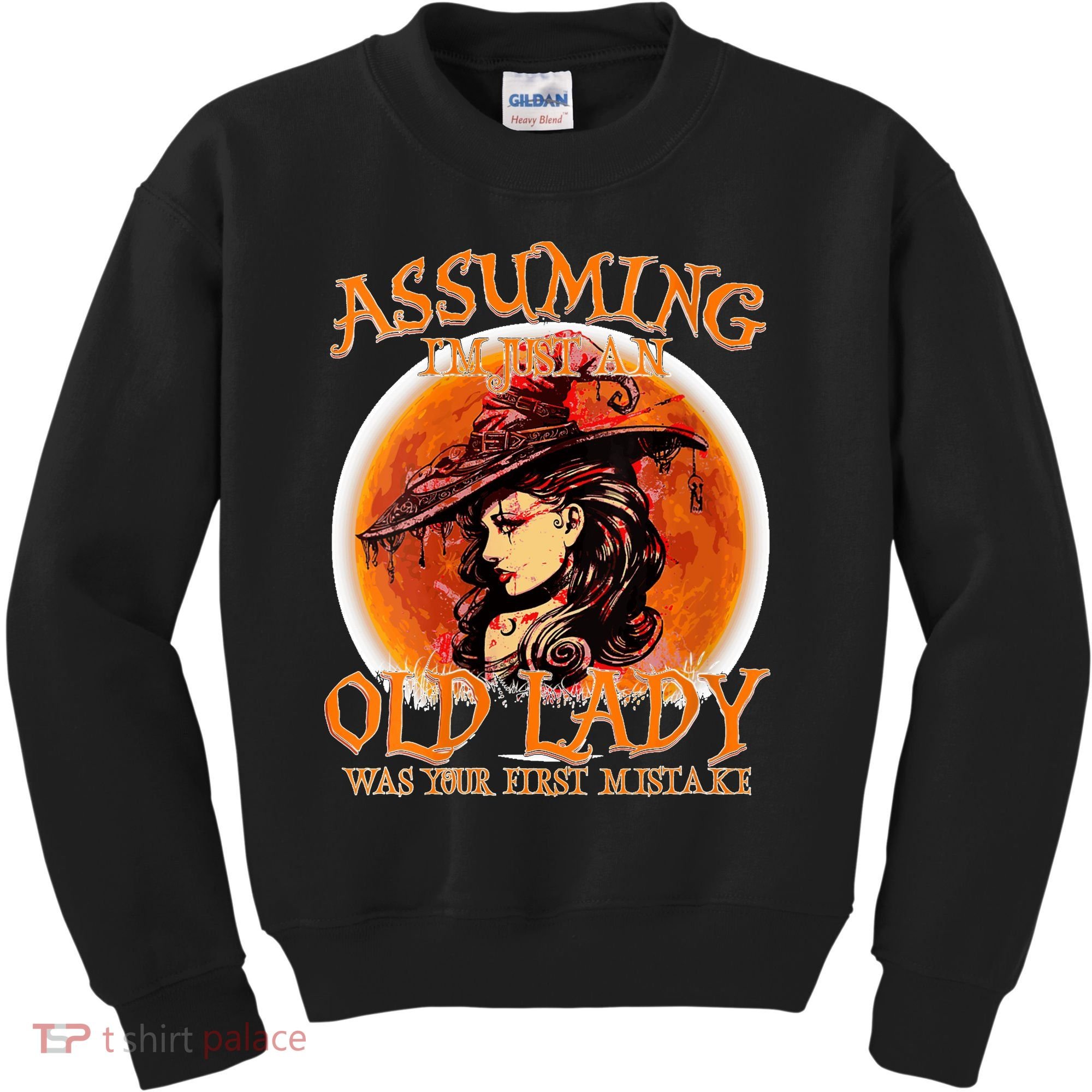 S Assuming IM Just An Old Lady Was Your First Mistake V Neck Kids Sweatshirt