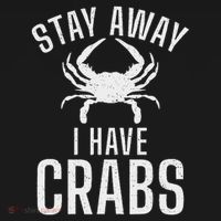 Stay Away I Have Crabs Funny Crab Owner Women's Hoodie thumb 2
