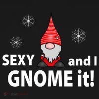 Sexy And I Gnome It Ornament thumb 1