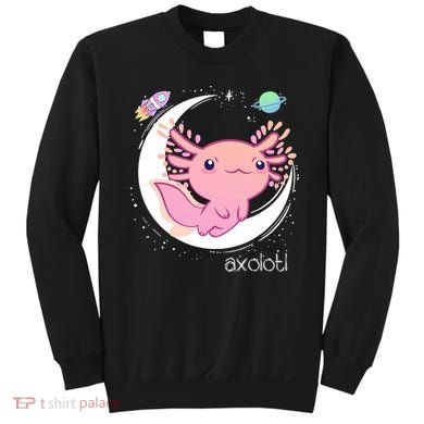 Space Axolotl Kawaii  Pastel Goth  Japan Anime Comic Sweatshirt