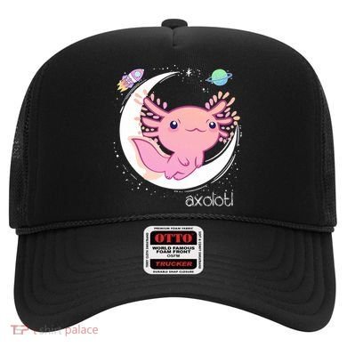 Space Axolotl Kawaii  Pastel Goth  Japan Anime Comic Hat