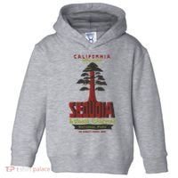 Sequoia And Kings Canyon National Park Toddler Hoodie thumb 0