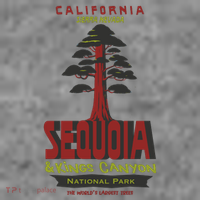 Sequoia And Kings Canyon National Park Toddler Hoodie thumb 2
