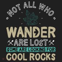 Some Are Looking For Cool Rocks Geologist Geode Hunter Tumbler thumb 3