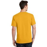 Salmonstein T-Shirt thumb 1