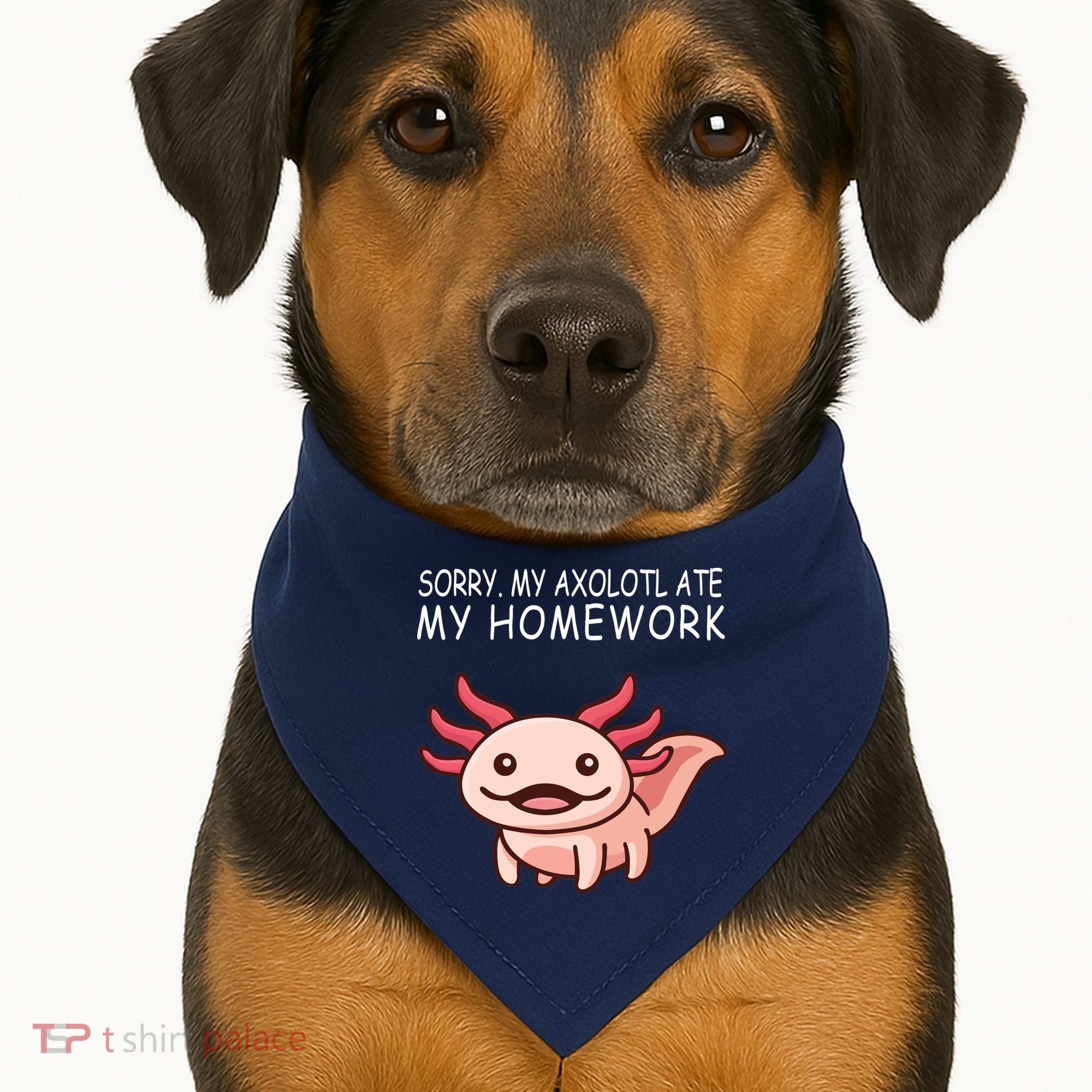 School Axolotl My Axolotl Ate My Homework Cute Axolotl USA-Made Doggie Bandana