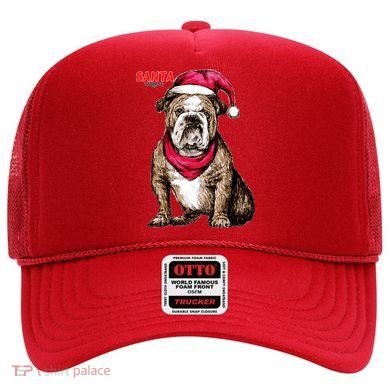 Santa Bulldog Christmas Hat Hat