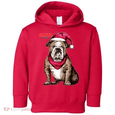 Toddler Hoodie