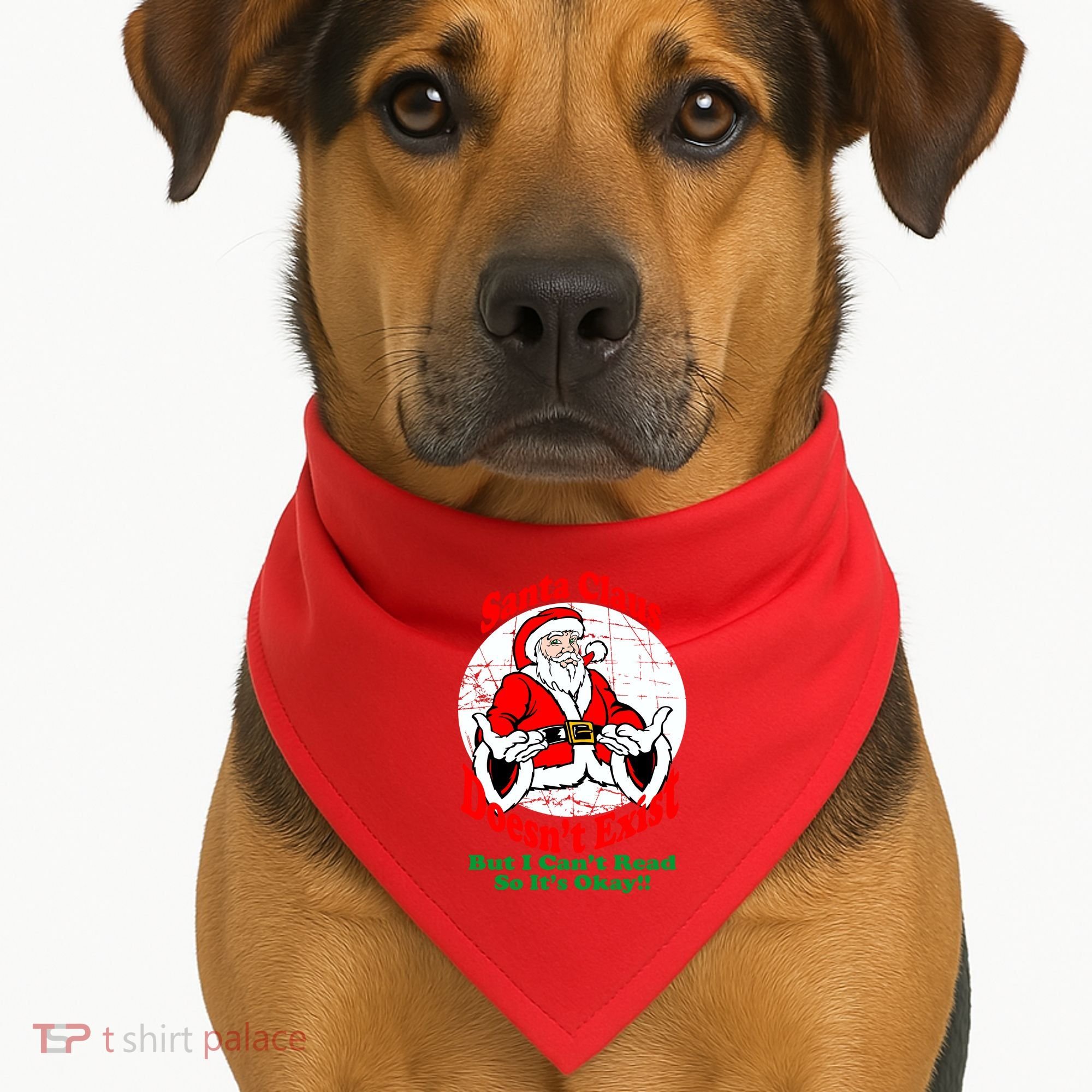 Santa Claus Doesn't Exist But I cant Read USA-Made Doggie Bandana