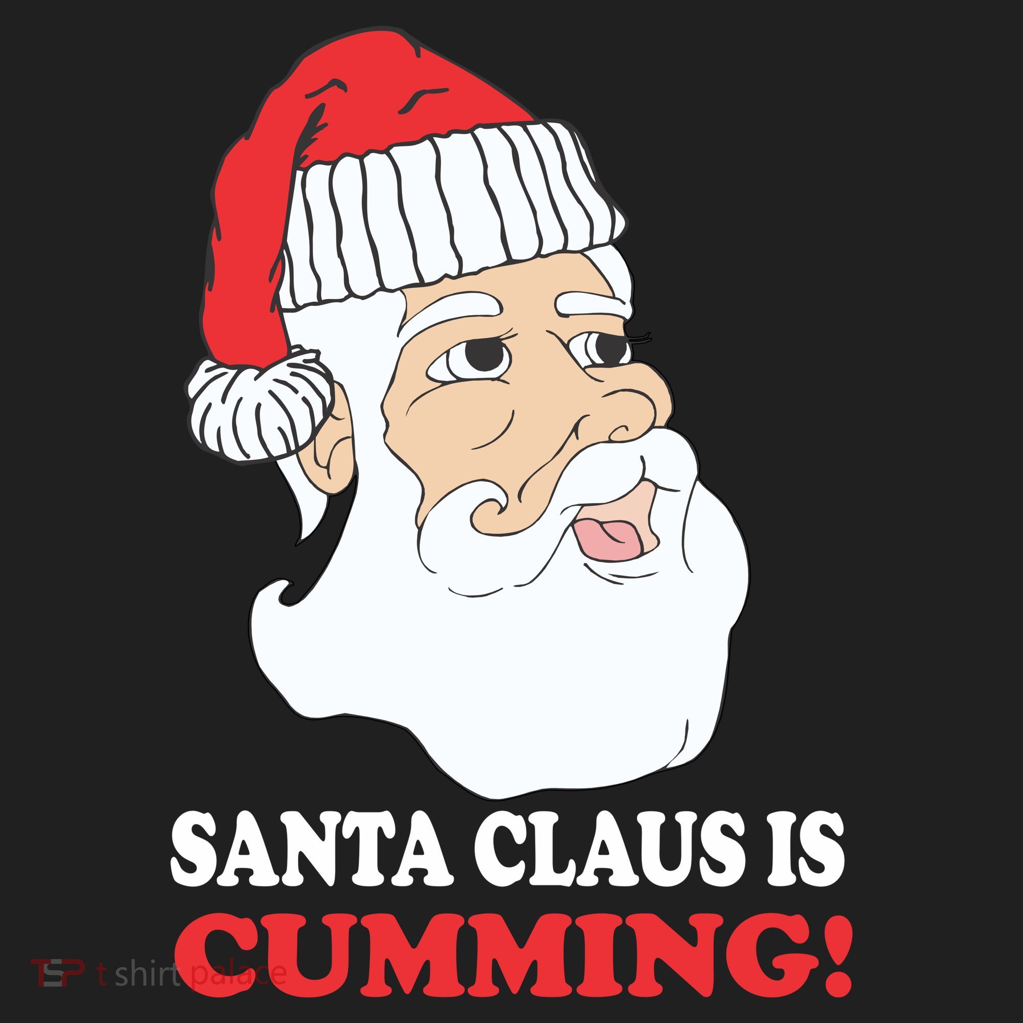 Santa Claus Is Cumming Dirty Humor Beanie
