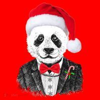 Santa Claus Panda Bear Santa Hat thumb 1