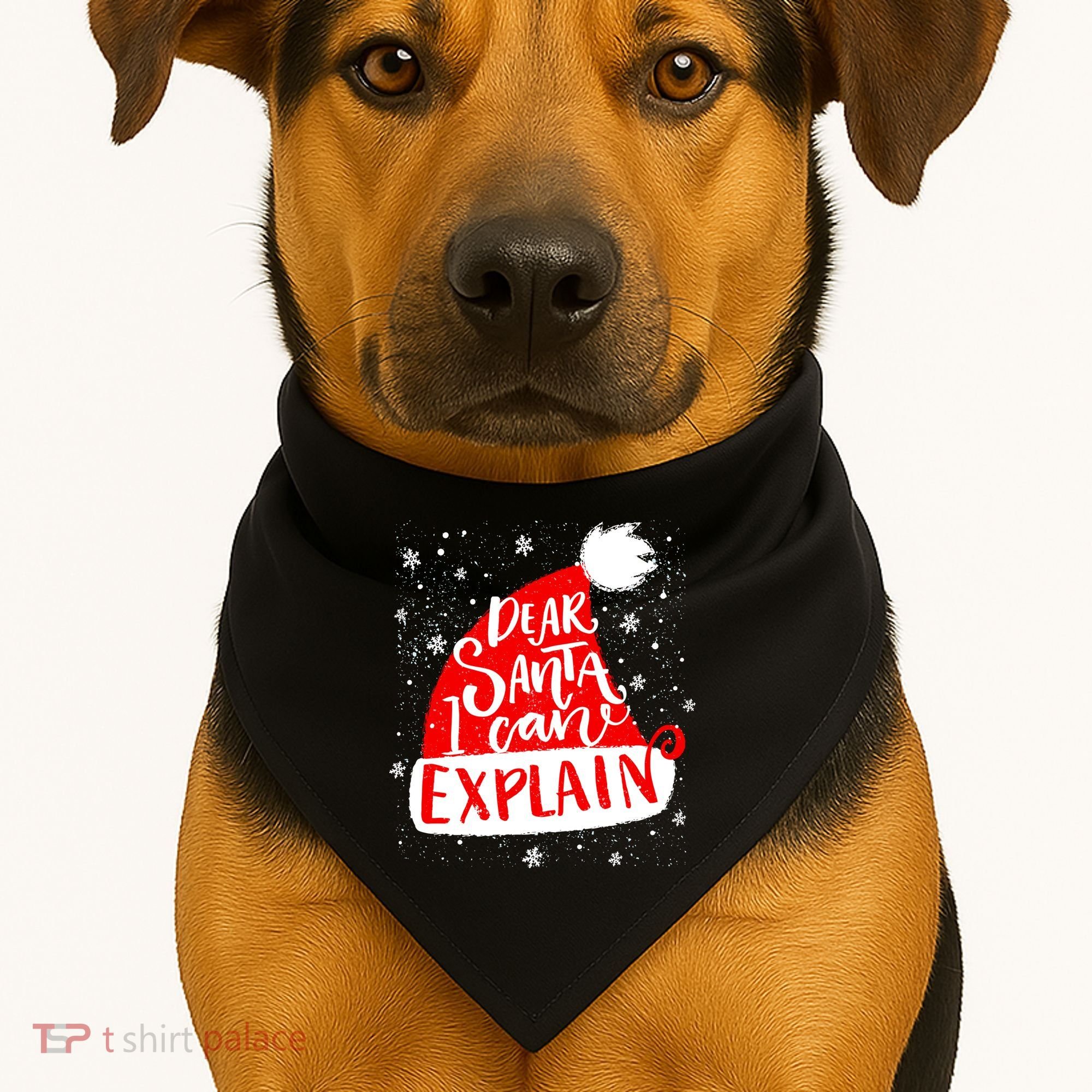 Santa Hat Dear Santa I Can Explain Christmas USA-Made Doggie Bandana