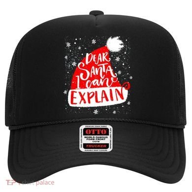 Santa Hat Dear Santa I Can Explain Christmas Hat