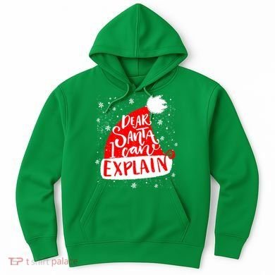 Santa Hat Dear Santa I Can Explain Christmas Hoodie