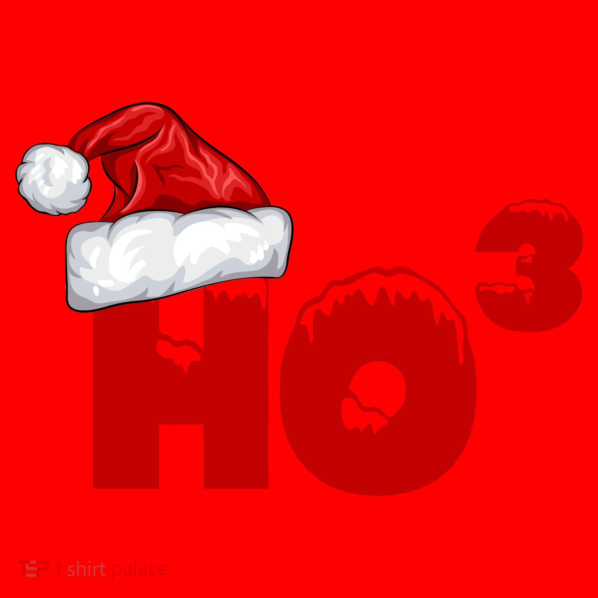 Santa HO HO3 Christmas Funny Santa Hat