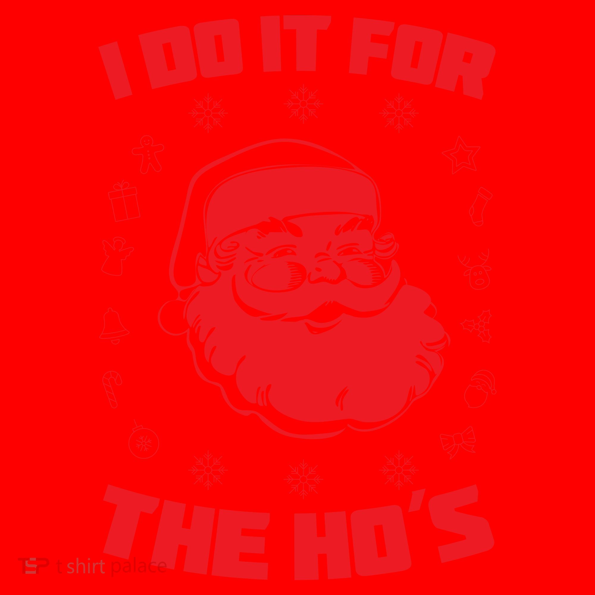 Santa I Do It For The Ho's Funny X-Mas Santa Hat