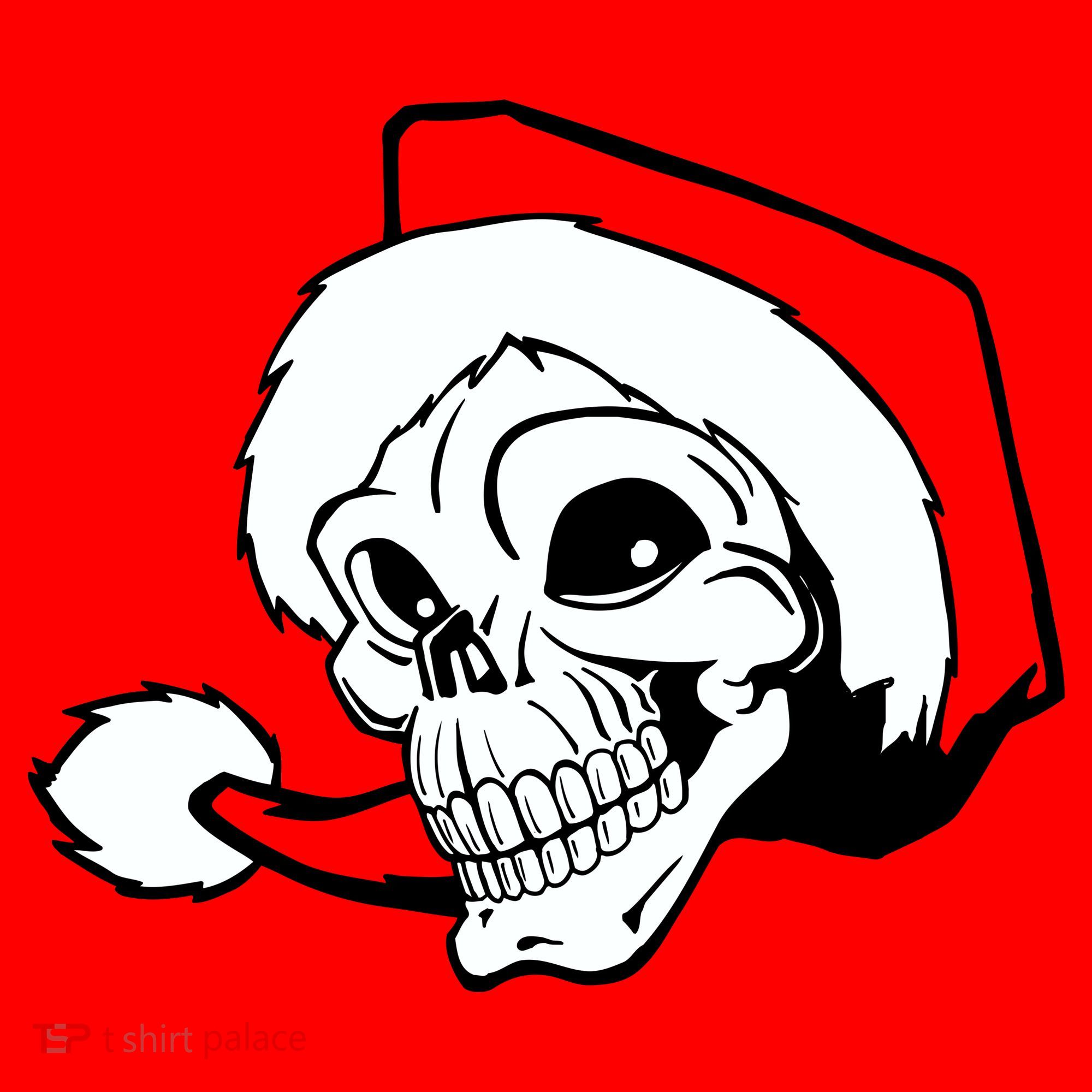 Santa Skull Santa Hat