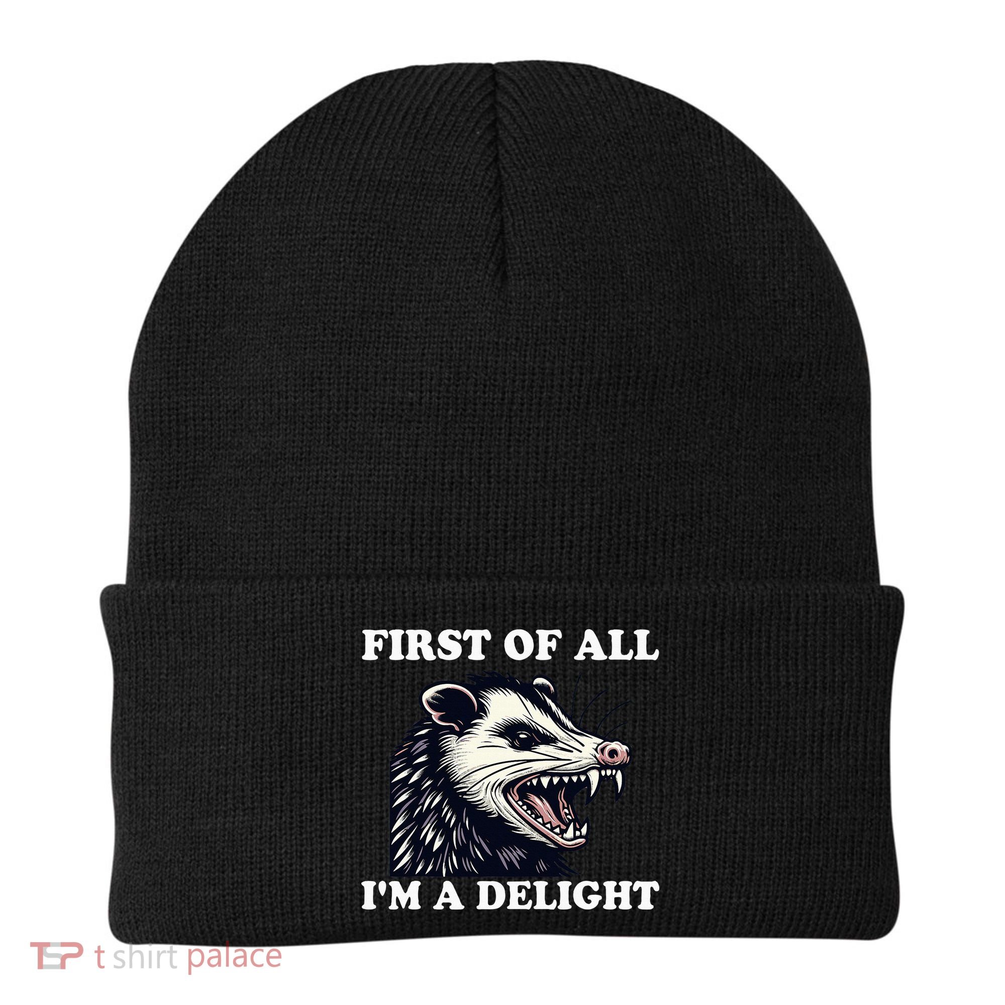 Sarcastic Angry Opossum Lover First Of All IM A Delight Beanie