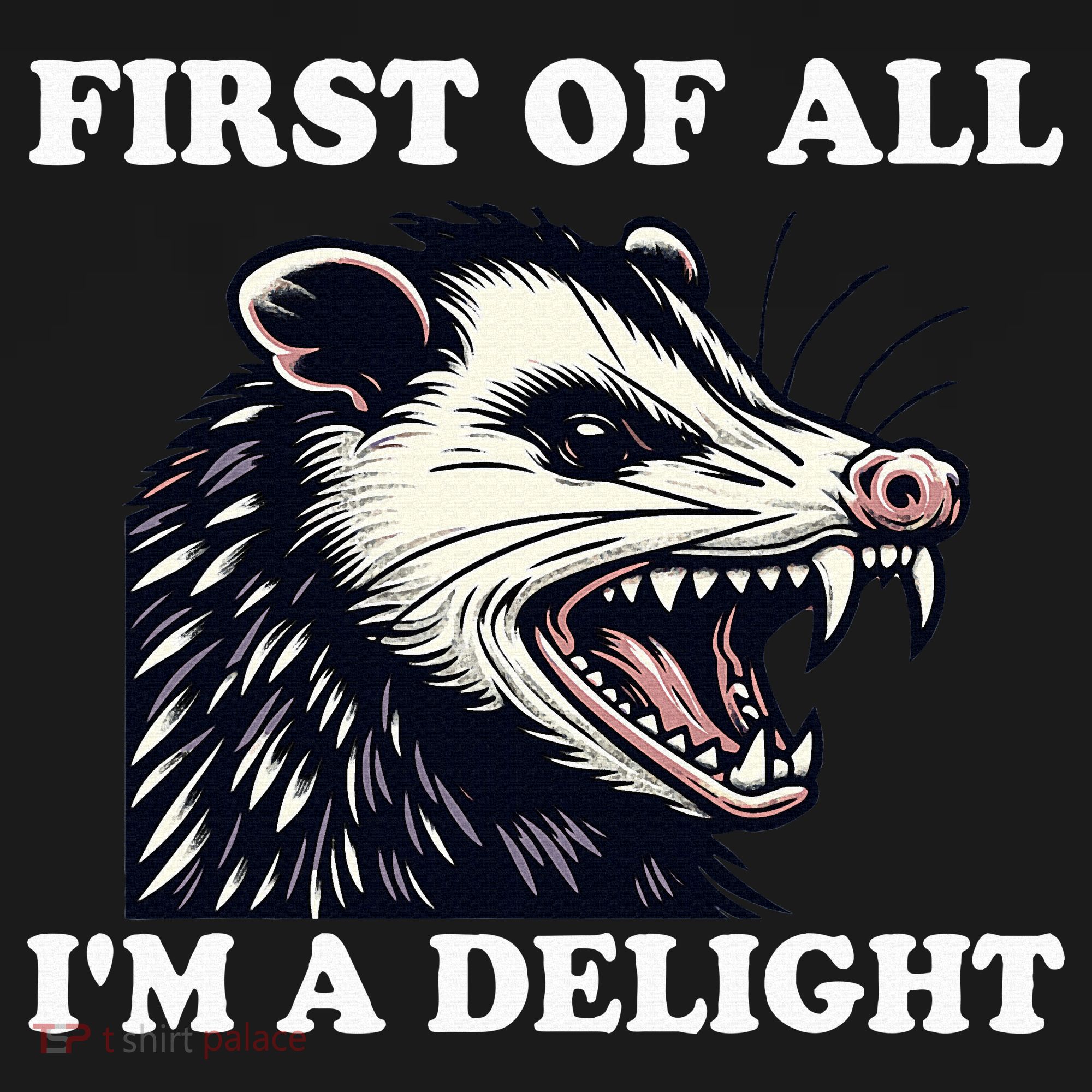 Sarcastic Angry Opossum Lover First Of All IM A Delight Tank Top