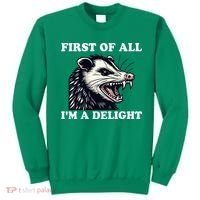 Sarcastic Angry Opossum Lover First Of All IM A Delight Sweatshirt thumb 0