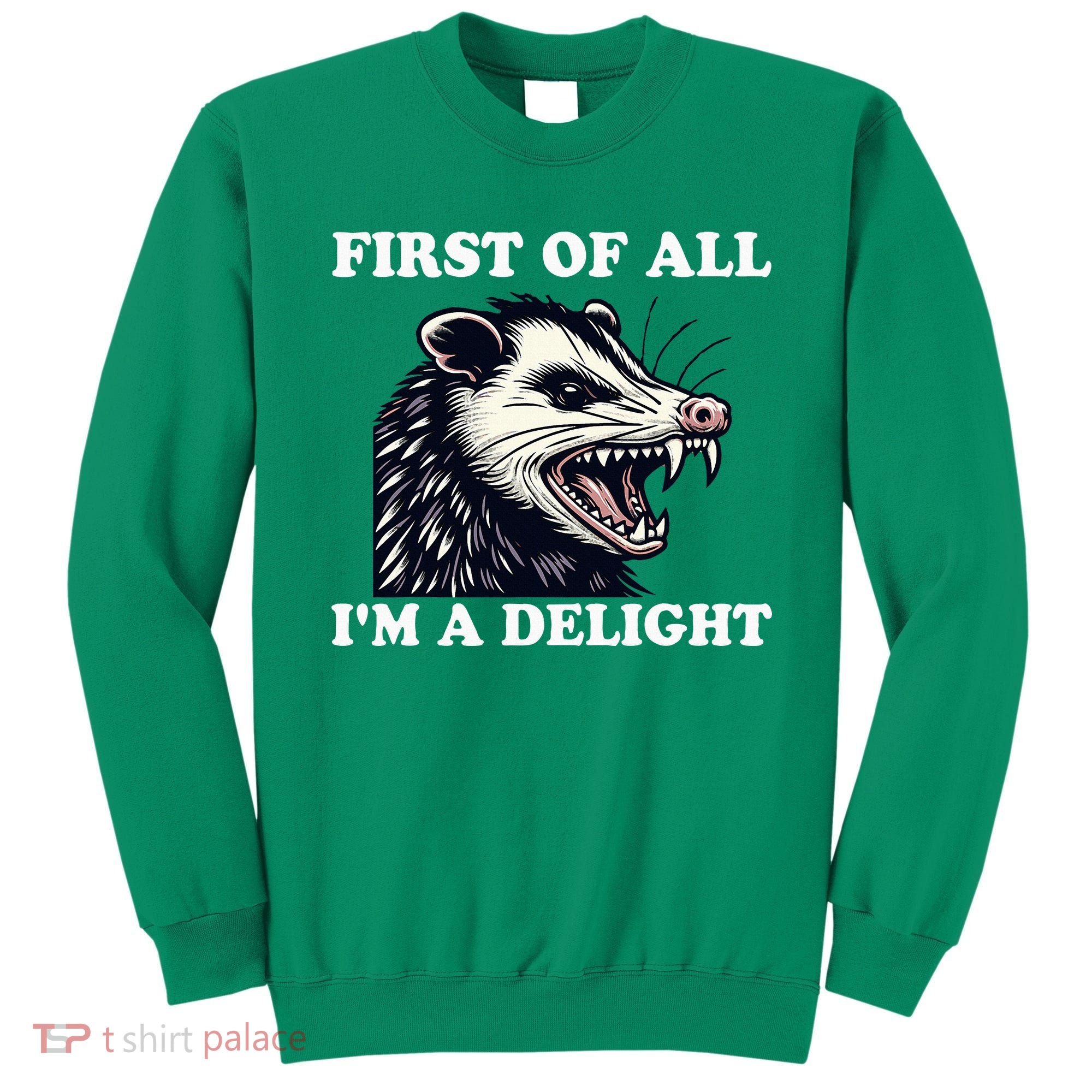 Sarcastic Angry Opossum Lover First Of All IM A Delight Sweatshirt