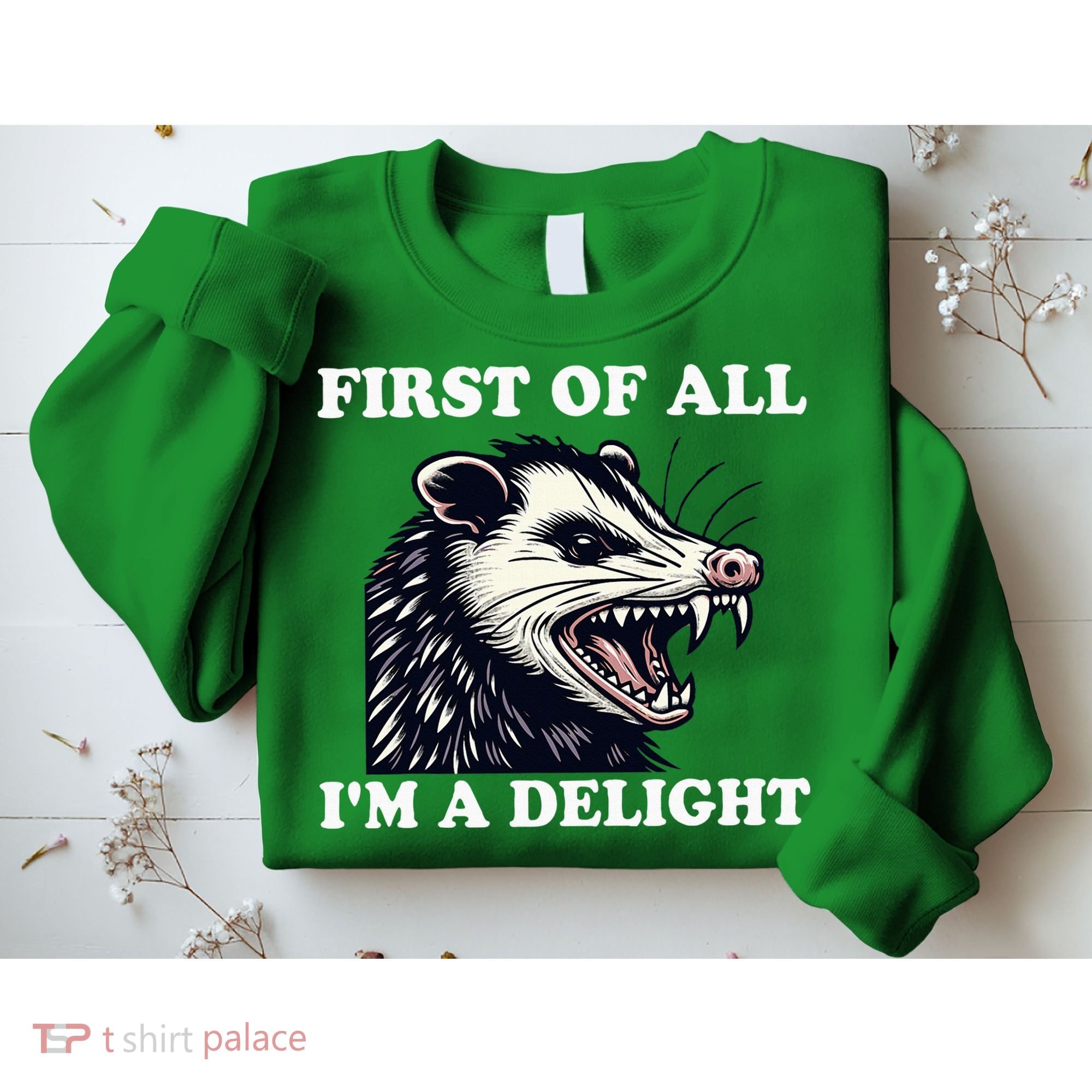 Sarcastic Angry Opossum Lover First Of All IM A Delight Sweatshirt