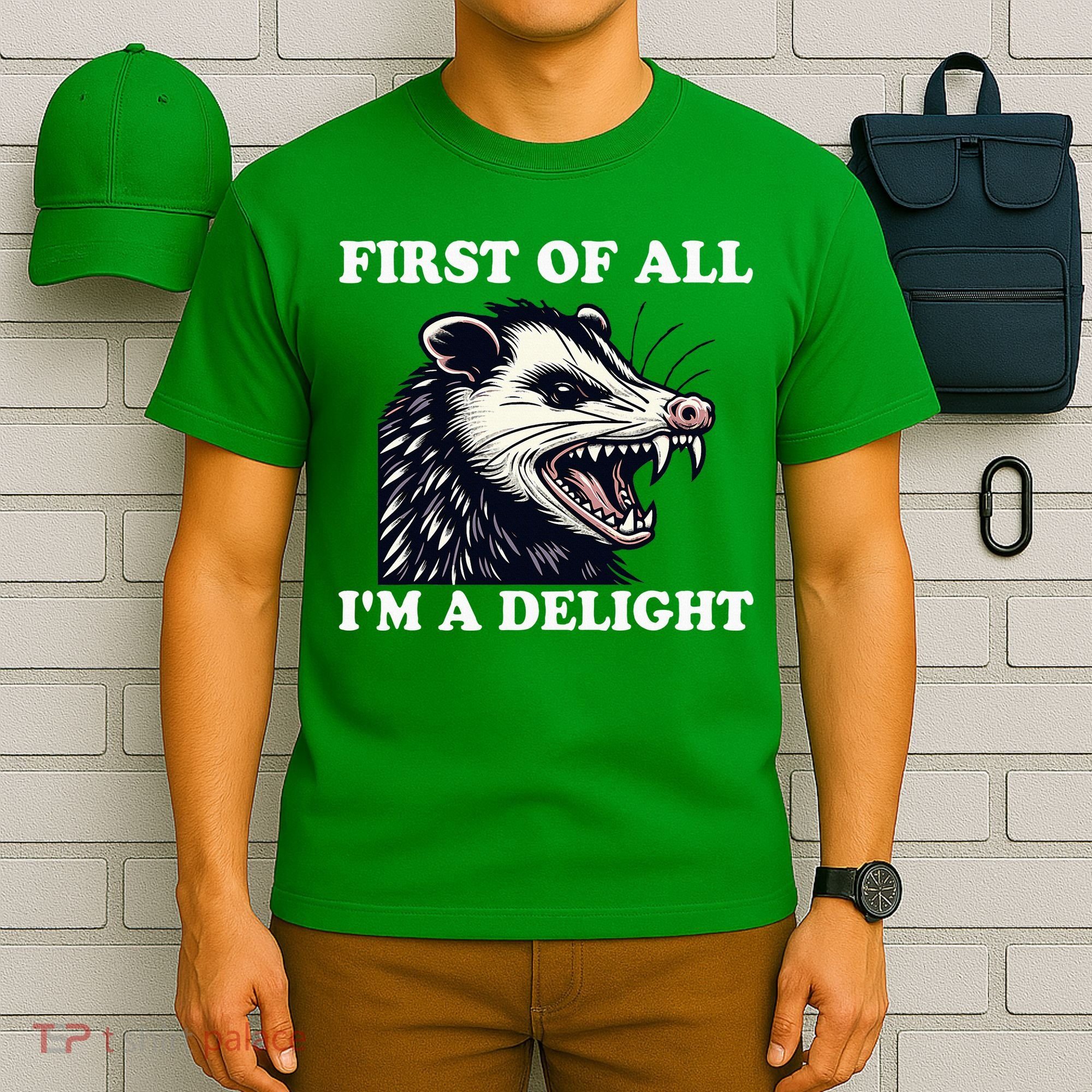 Sarcastic Angry Opossum Lover First Of All IM A Delight T-Shirt