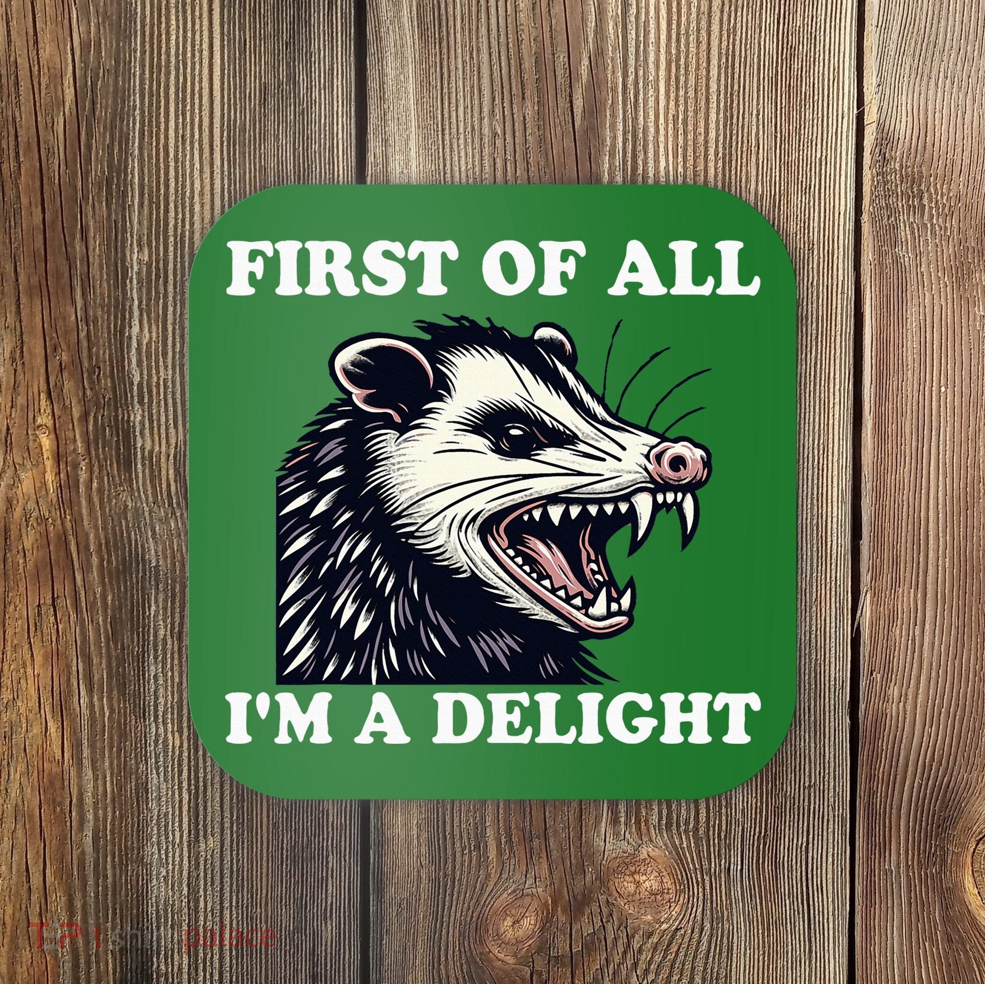 Sarcastic Angry Opossum Lover First Of All IM A Delight Coaster