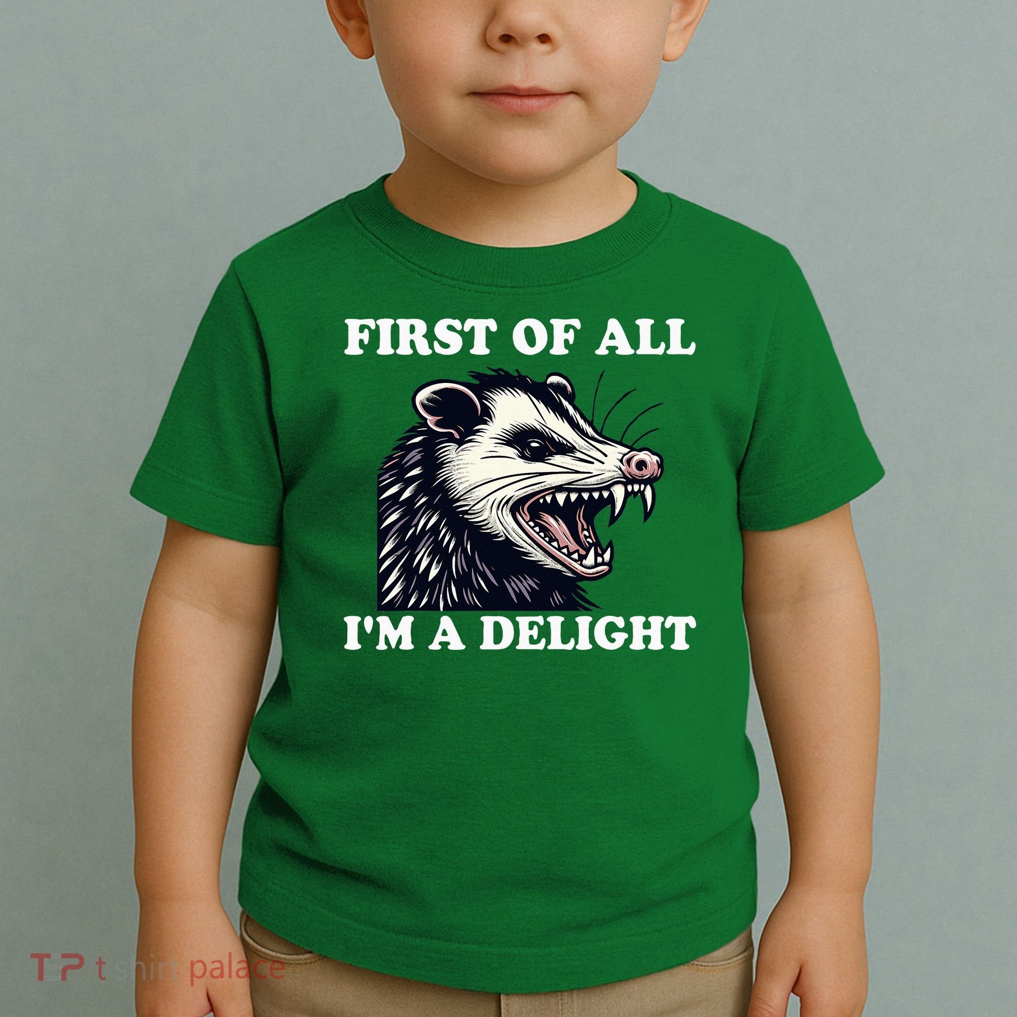Sarcastic Angry Opossum Lover First Of All IM A Delight Toddler T-Shirt
